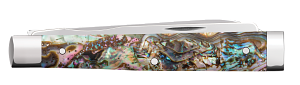Case Abalone Baby Doc (12029)