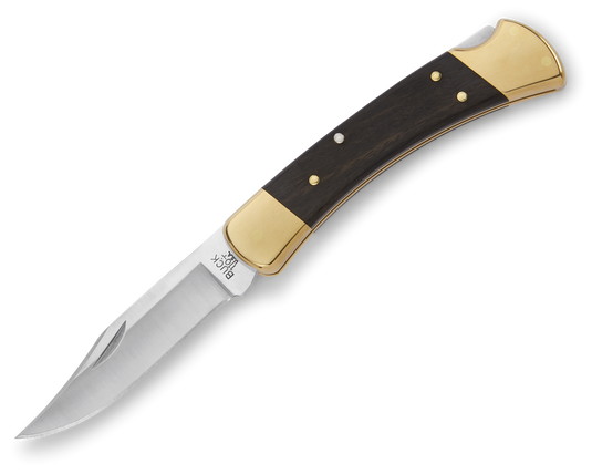 Buck® 110 Folding Hunter® (0110BRS)
