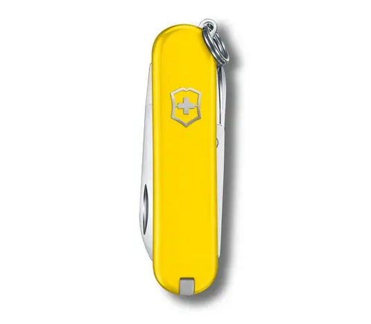 Swiss Army Classic SD Knife Sunny Side (0.6223.8G)
