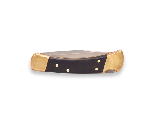 Buck® 110 Folding Hunter® - Semiquincentennial (0110BRSUSA1) - LIMITED RELEASE!