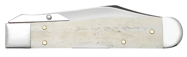 Cargue la imagen en el visor de la galería, Case Smooth Natural Bone Cheetah® Cub (14026)
