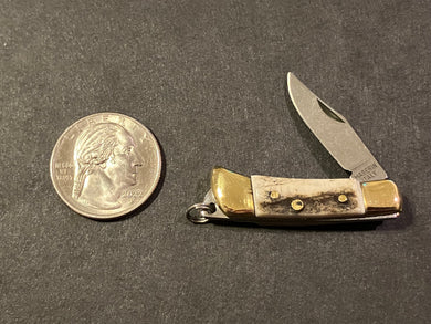 Maserin Mignon Miniature Knife, Stag Horn (707/CV)