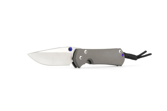 Chris Reeve Large Sebenza 31 Plain Glass Blasted, Magnacut Drop Point (L31-1644)