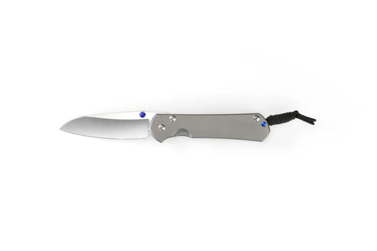 Chris Reeve Large Sebenza 31 Plain Glass Blasted, Magnacut Insingo (L31-1685)