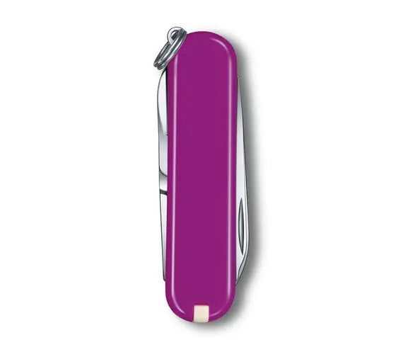 Load image into Gallery viewer, Swiss Army Classic SD Knife Tasty Grape (0.6223.52G)
