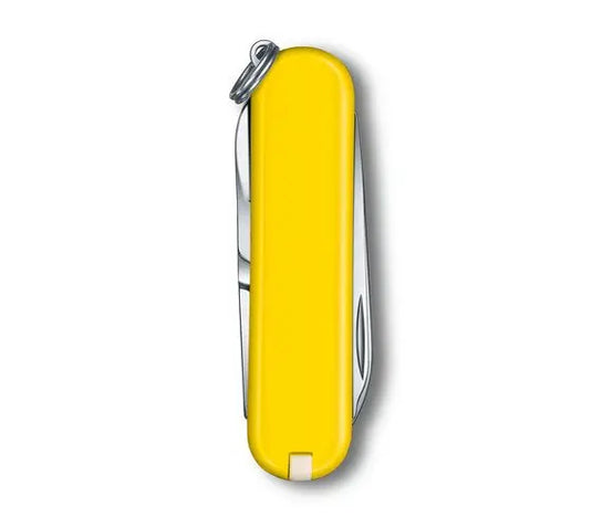 Swiss Army Classic SD Knife Sunny Side (0.6223.8G)
