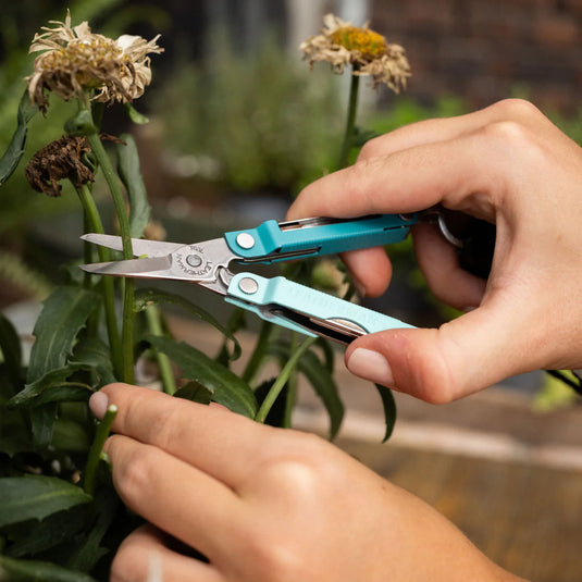 Leatherman Micra®, Parakeet (833435) - COMING SOON!!