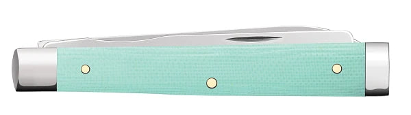 Load image into Gallery viewer, Case Smooth Seafoam Green G10 Baby Doc (18108)
