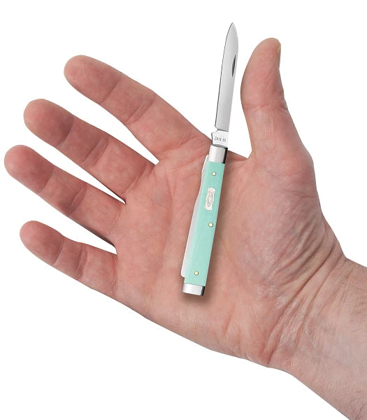 Load image into Gallery viewer, Case Smooth Seafoam Green G10 Baby Doc (18108)
