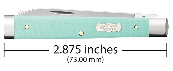 Load image into Gallery viewer, Case Smooth Seafoam Green G10 Baby Doc (18108)
