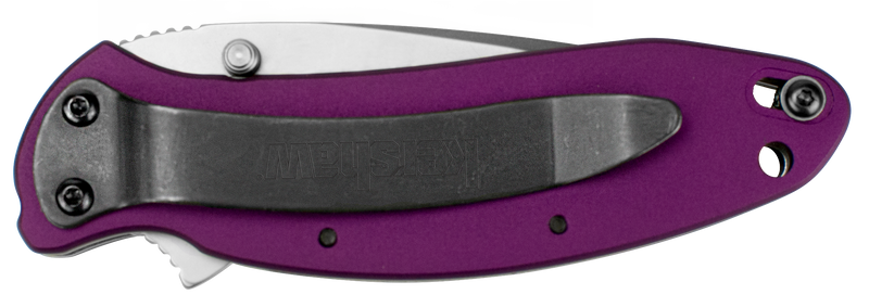 Cargue la imagen en el visor de la galería, Kershaw® Scallion Purple (1620PUR)
